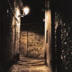 La-nit-al-carrer-accessit