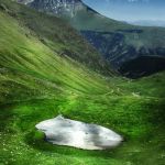 2n-premi-METAL.LITZAT