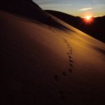 1r premi: Jordi Boada