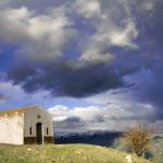 Accèssit: Toni Ribas