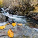 2n premi: Llibert Cases