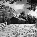 Primer premi, Jordi Puch