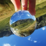 Segon accèssit, Ricard Moncayo