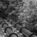 Segon premi, Francesc Llimiñana