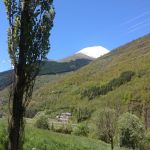 Photo-25-05-13-12-43-34
