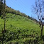 Photo-25-05-13-12-43-48