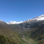 Photo-26-05-13-12-40-30